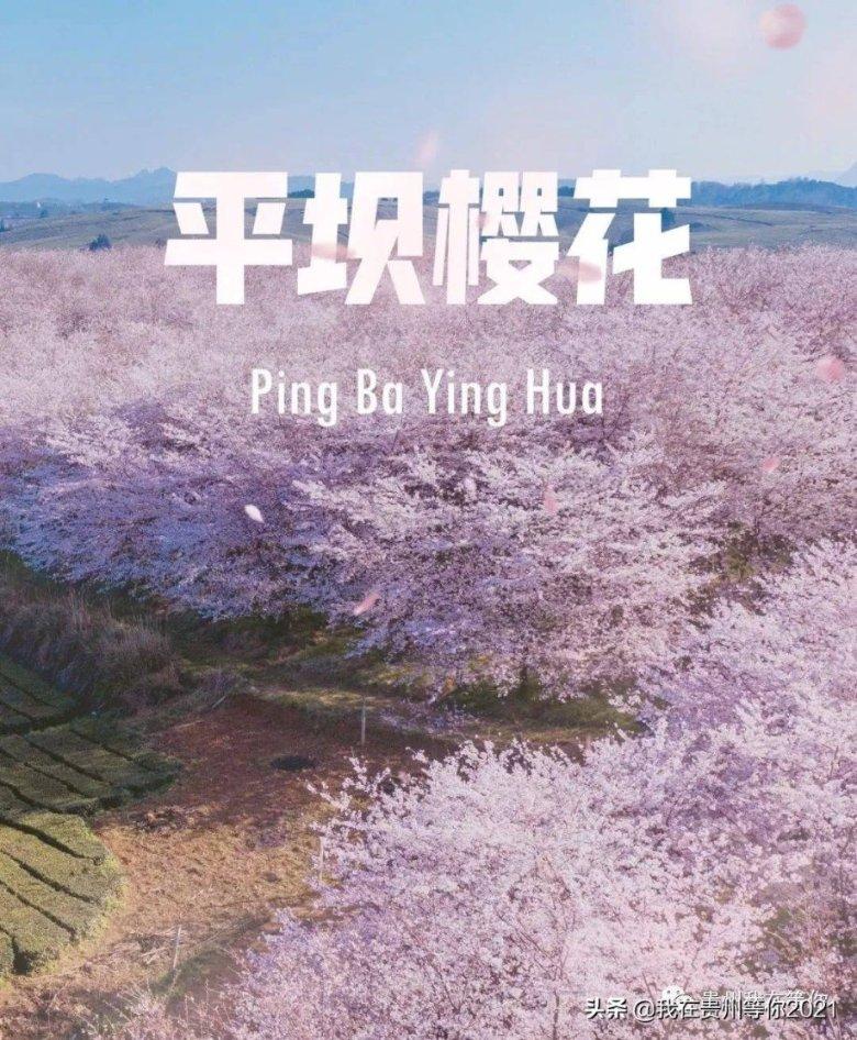 用情太深，爱恨都深入骨髓的星座女有哪几个？